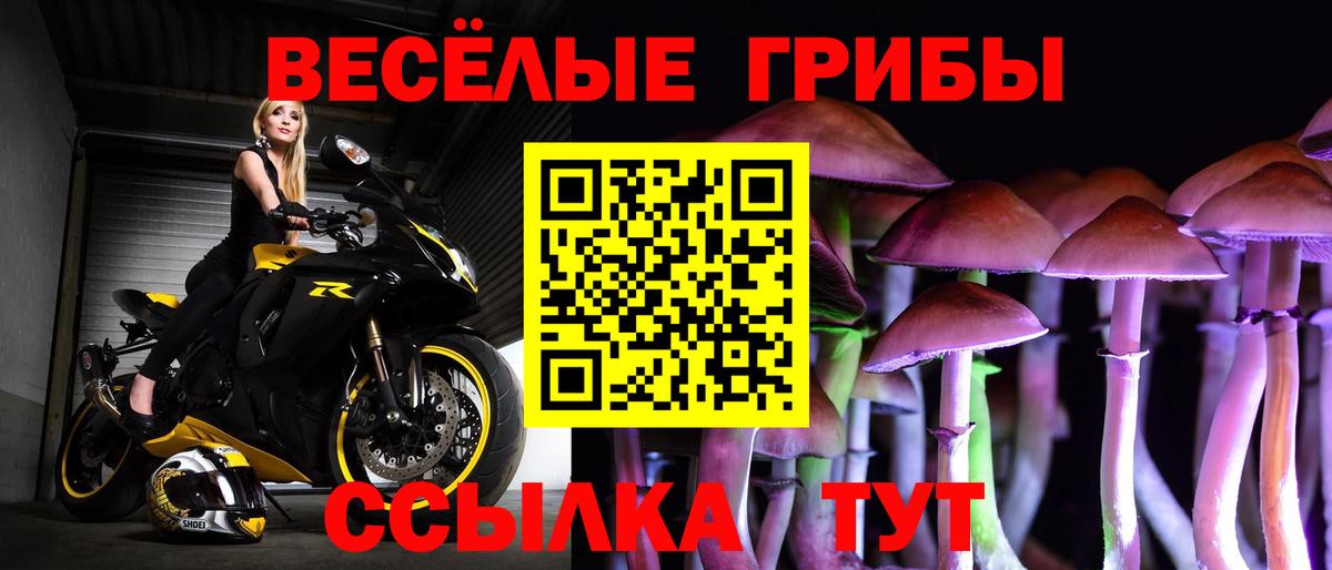 Псилоцибиновые грибы мицелий  Вход с VPN  Волжск 